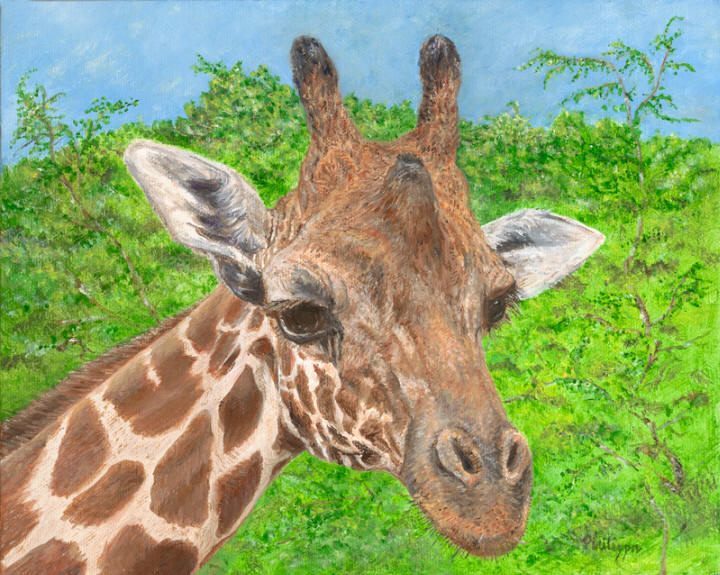 Makana 'Squirt'