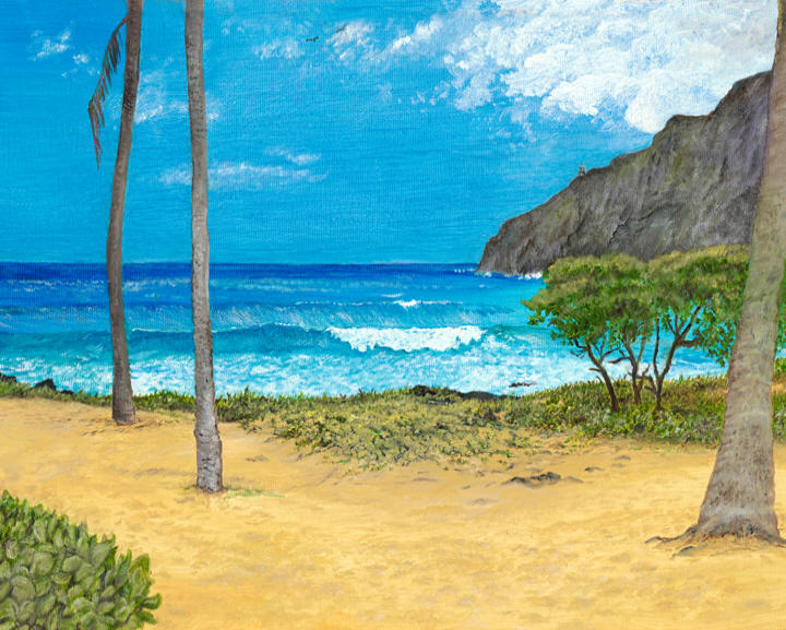Makapu'u Surf