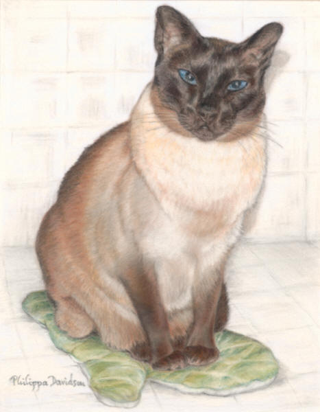 Pyewacket