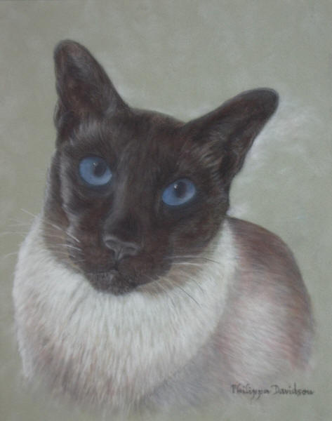 Pyewacket