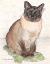 Pyewacket