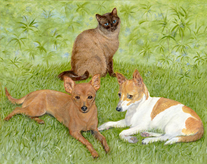 Furry Friends